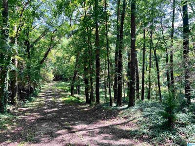 1998 1st Ave W #4.33, Maylene, AL, 35114