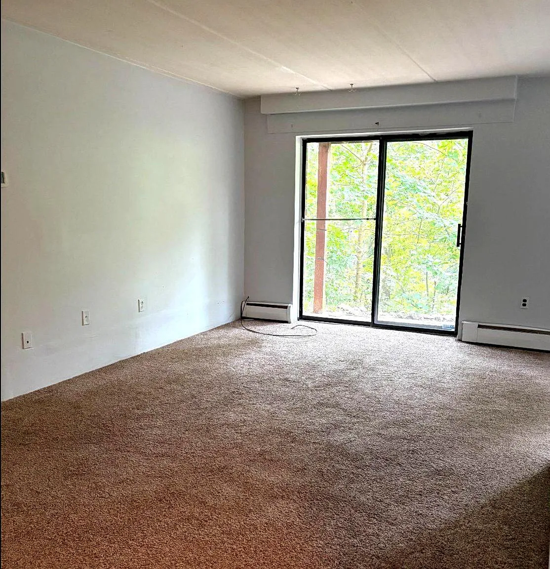 2 bed, 1.5 bath, 924 sqft, $1,800 — Photo 2