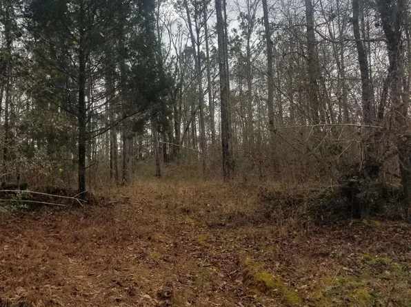 0 County Road 26 #1, Plantersville, AL 36758