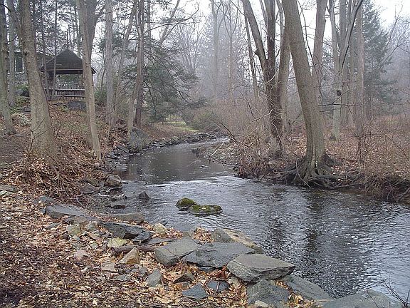 Brother's Brook