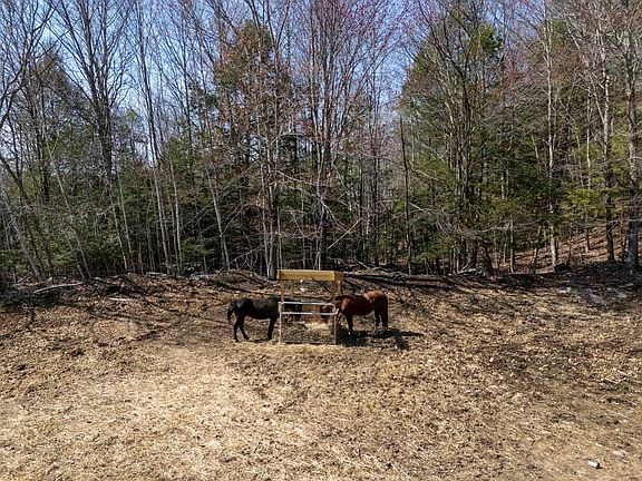 2nd image of 73 Mount Delight Road