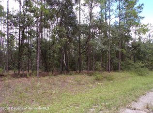 601 E Marquette Ln, Citrus Springs, FL 34434