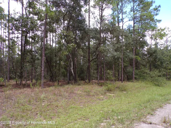 617 E Marquette Ln, Citrus Springs, FL 34434