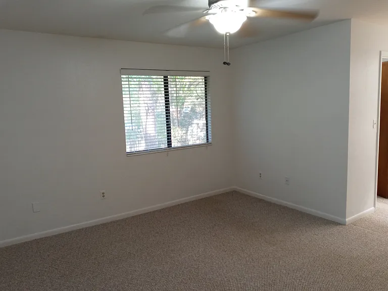 4410 Black Forest Way — Photo 13