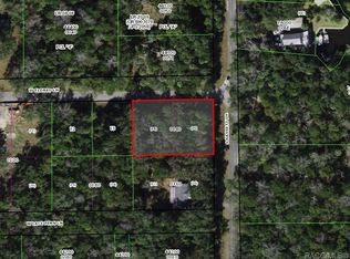 11882 W Eldred Ln, Homosassa, FL 34448