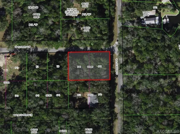 11882 W Eldred Ln, Homosassa, FL 34448
