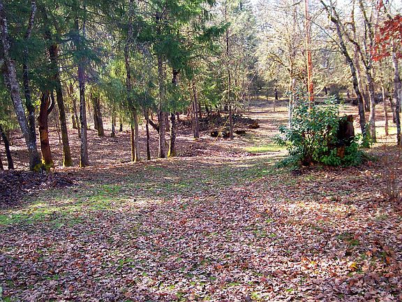 the land