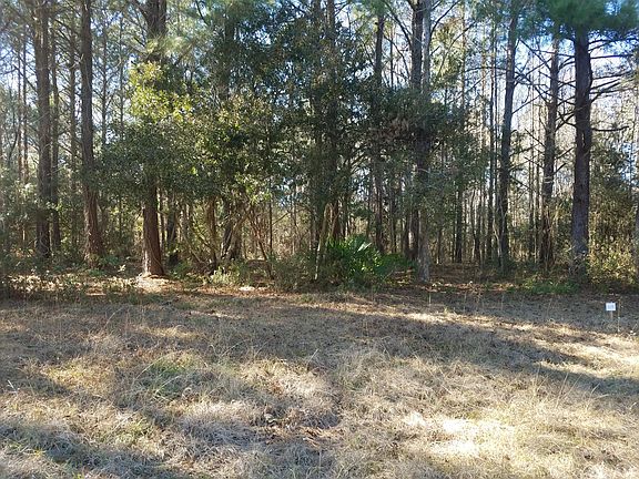 2nd image of 204 Winding Creek Road LOT 204