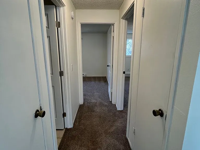 1920 Alabama St #4 — Photo 9
