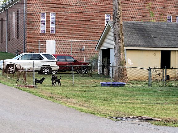 Fenced backyard and One car garage with work room