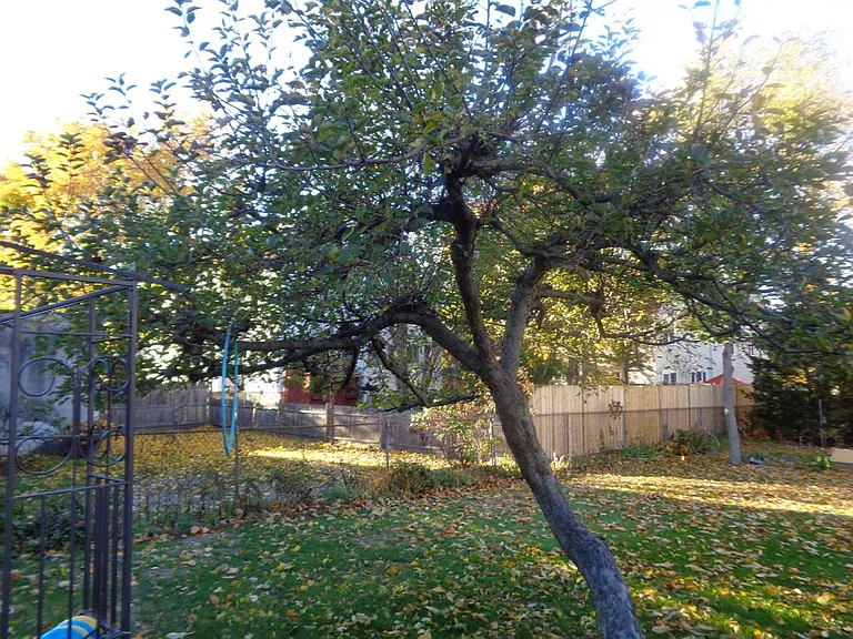 Beech St — Photo 16