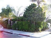 1st image of 4403 Florida St