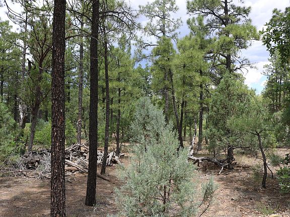 5th image of 4350 Box Elder Ln