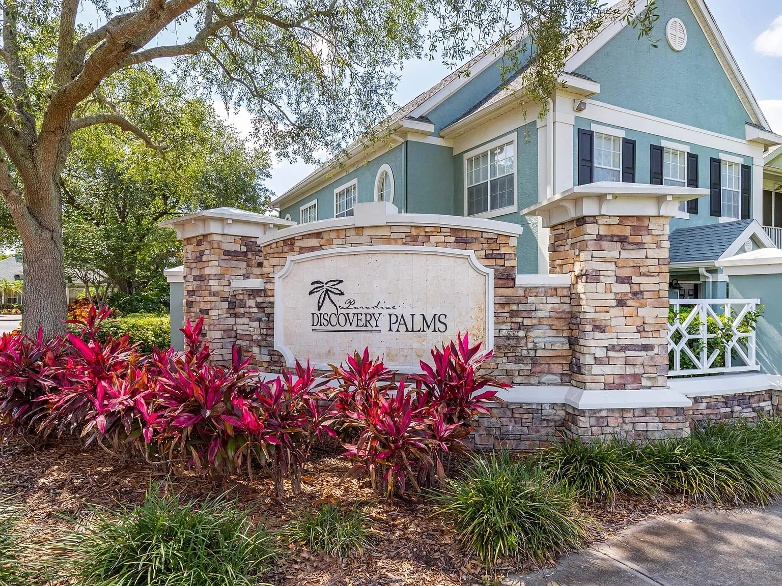 Discovery Palms — Photo 1