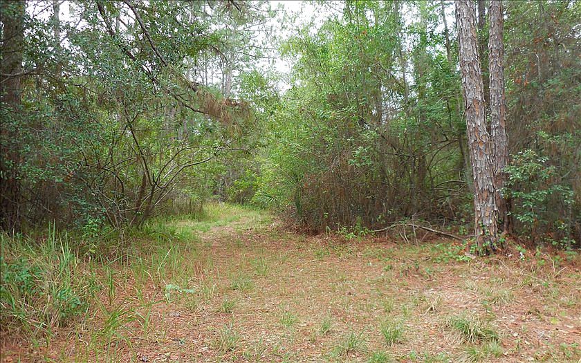 2nd image of 1975 W Tanager Rd