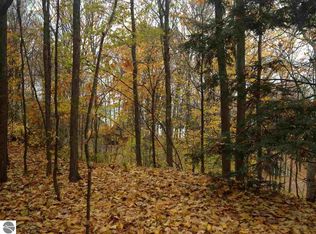 8715 Sun Bay Ct, Williamsburg, MI