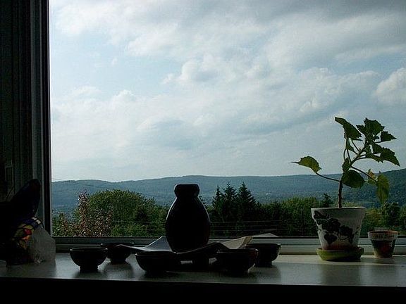 view and the living room bay window