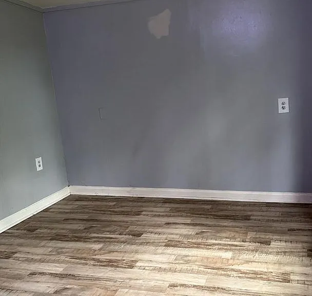 255 Elmore St — Photo 10