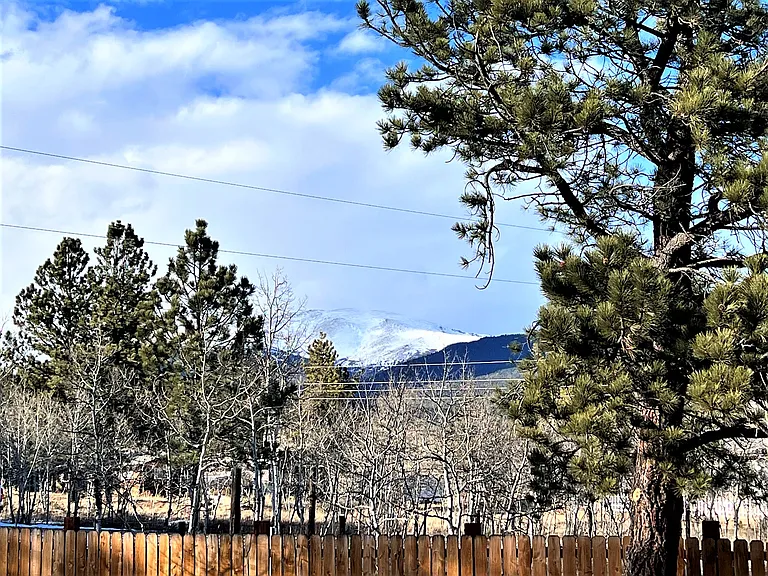 463 Rising Sun Rd — Photo 20
