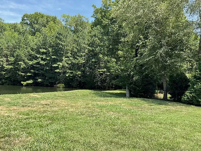 View of backyard