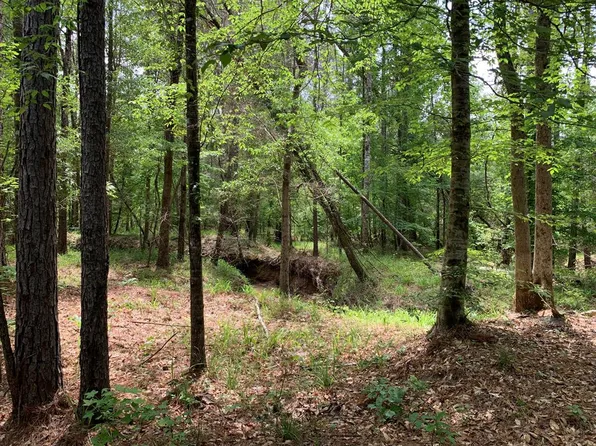 Neal Posey Rd, Mc Call Creek, MS 39647
