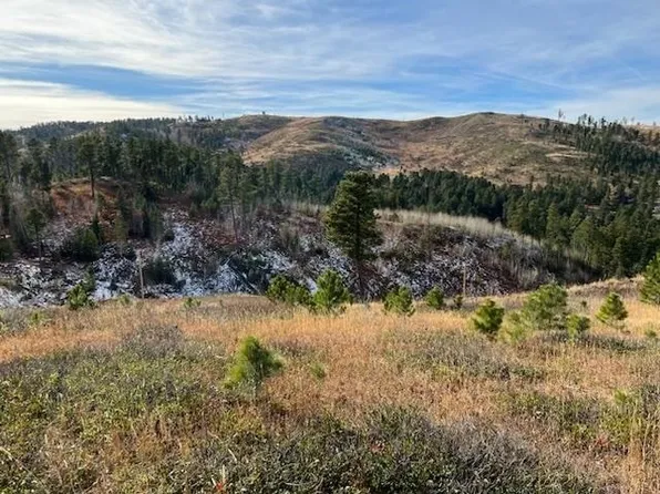 37 Golden Hls, Sturgis, SD 57785