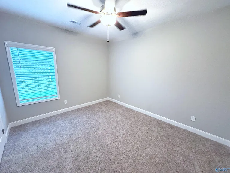 29419 Canoe Cir — Photo 10