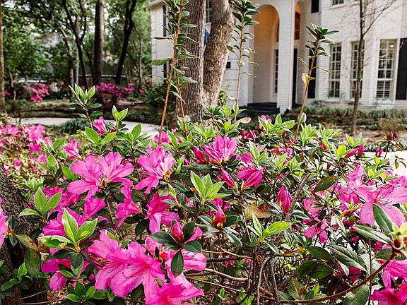 5th image of 35 Misty Grove Cir