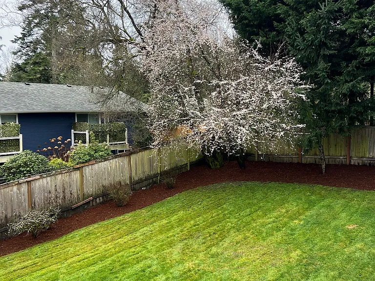 Fully fenced backyard