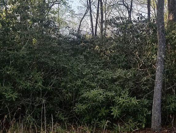 2nd image of Hickory Hill Cir