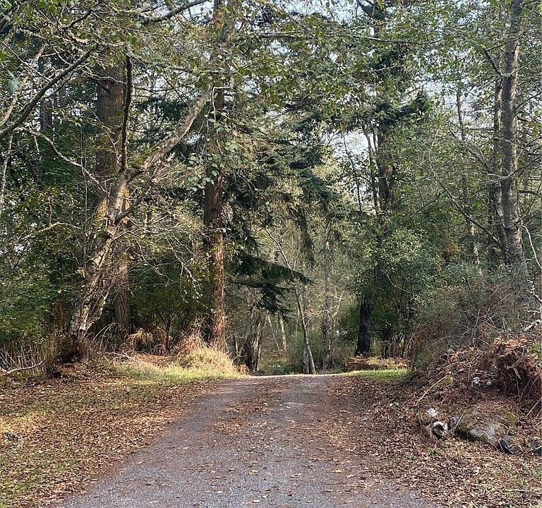 2nd image of 621 Obstruction Pass Rd
