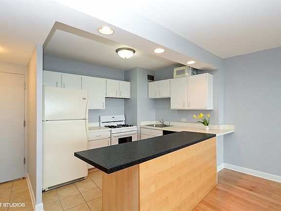 4th image of 1150 N Lake Shore Dr APT 5E