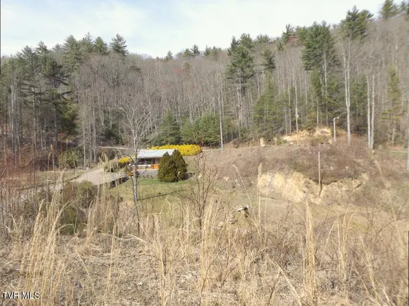 303 Honeymoon Holw #59, Butler, TN 37640