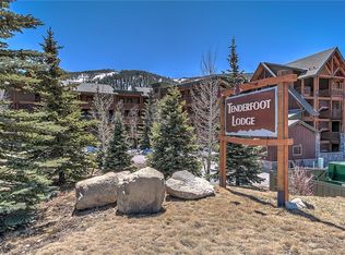22784 State Highway 6 #2672, Dillon, CO 80435
