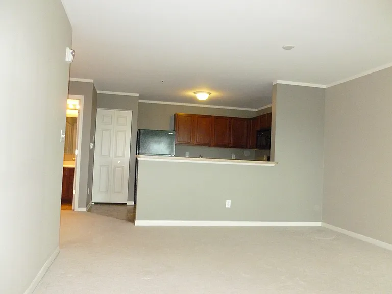 236 Bertram Dr #C — Photo 7