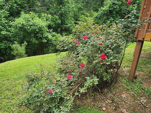 2nd image of 342 Ingle Hollow Rd