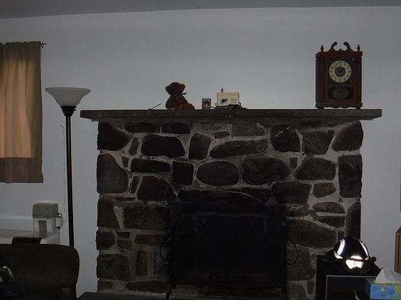 Wood burning fireplace