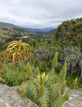 Carmel Valley views off main terrace