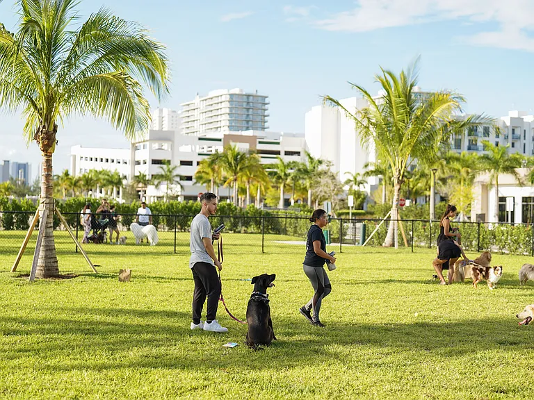 Let your four-legged friends run, play, and socialize in our spacious dog park.