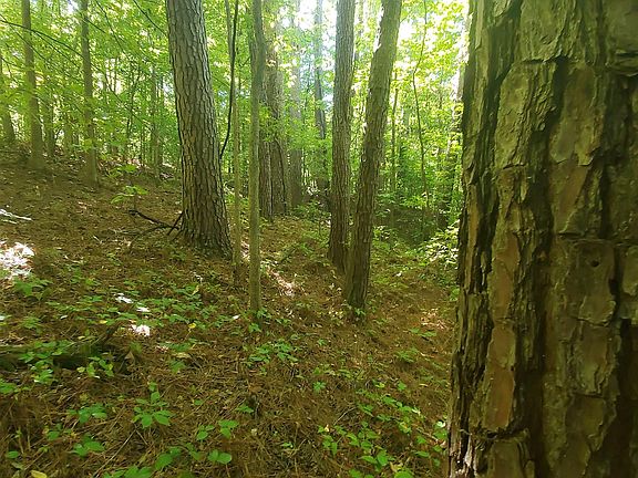 3rd image of 0 Bowers Rd