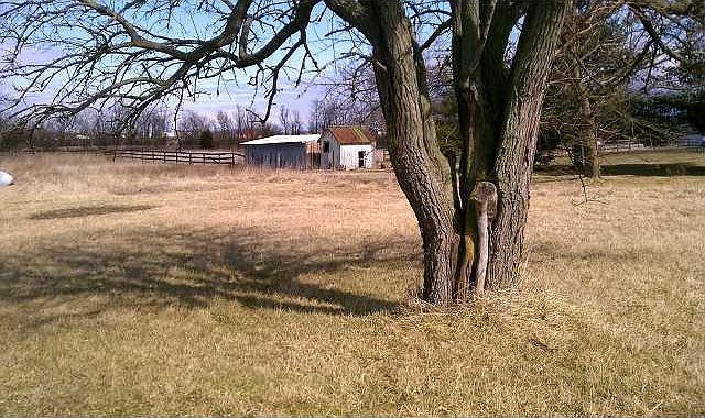 2nd image of 464 Zimmerman Rd SE