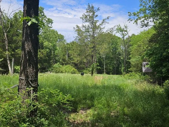 Tbd- 000 S Bonnie Lee Lane, Rogersville, MO 65742