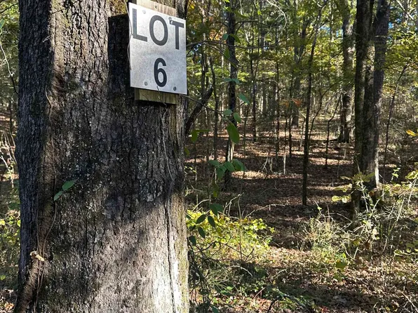 226 Cathedral Pines Ln, Mena, AR 71953