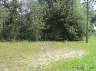 21045 SW 102nd Street Rd, Dunnellon, FL 34431