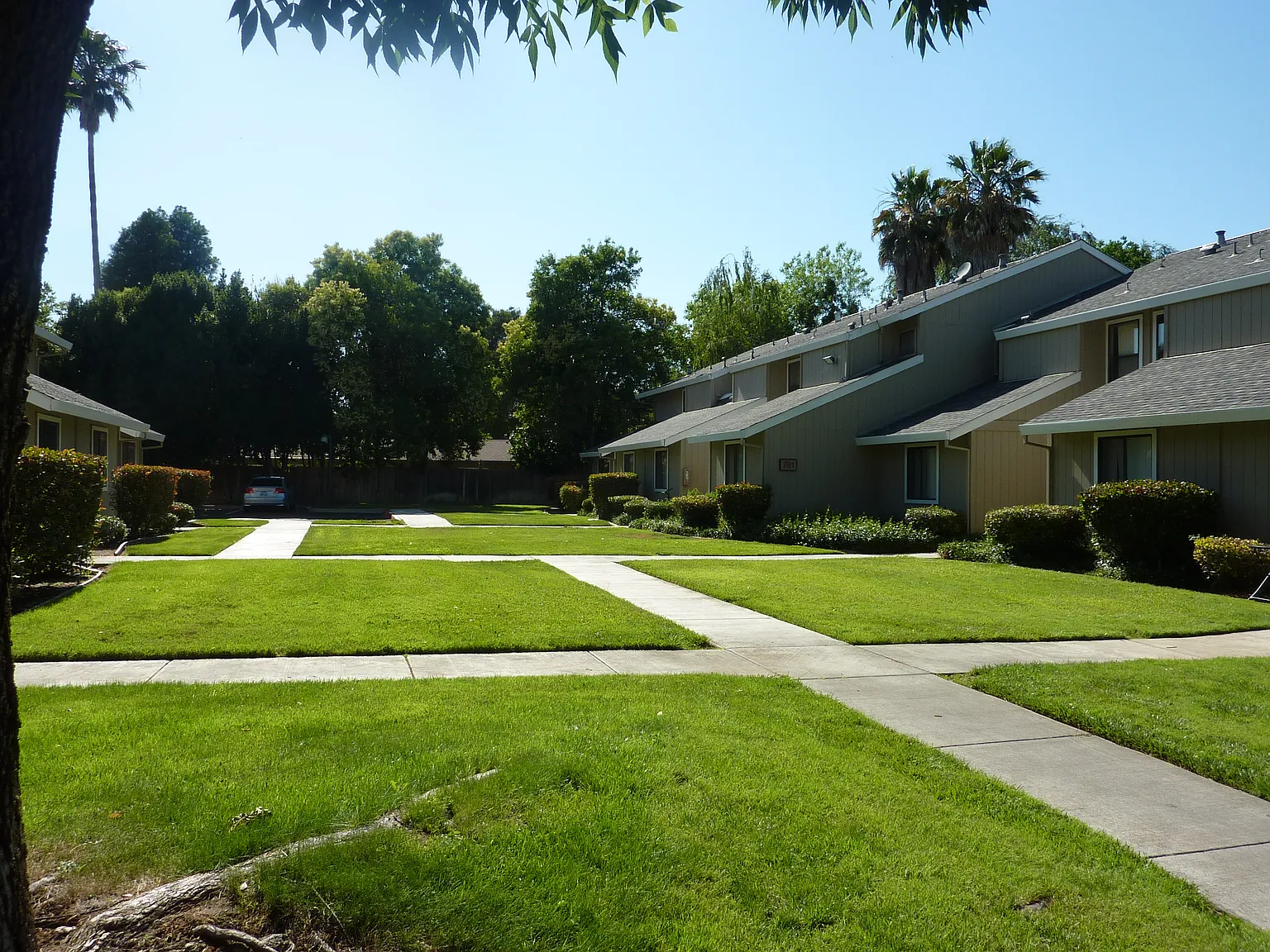 3 bed, 1235 sqft, $2,625 — Photo 2