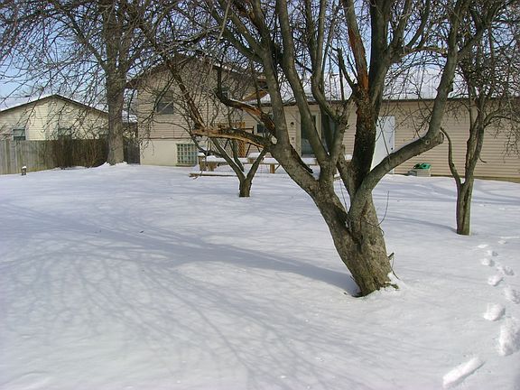 Large backyard