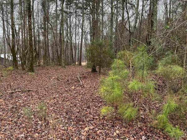 0 County Road 87 #1, Woodland, AL 36280