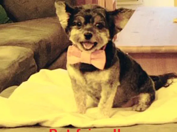 220 East 54th Street image 9 of 18