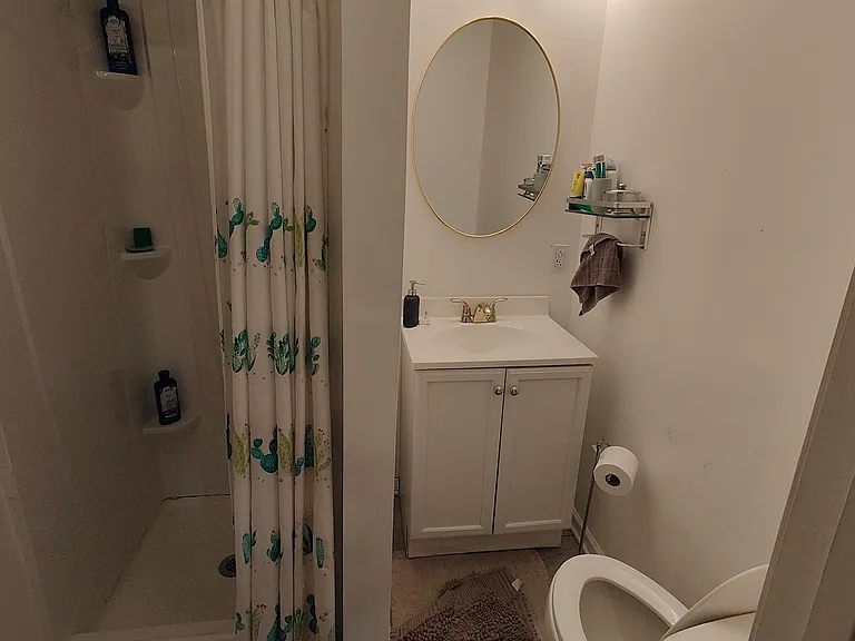Bathroom with shower and toilet - basement level.