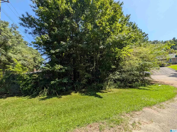 25 Lynngate Cir #1, Cropwell, AL 35054